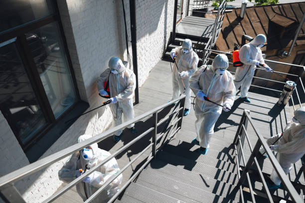 Best Mold Damage Restoration  in Burton, SC