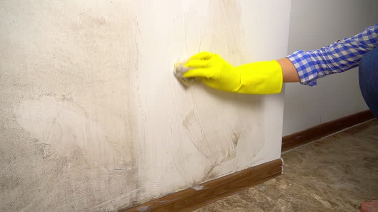 Best Airborne Mold Testing  in Burton, SC
