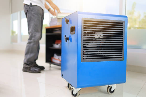 Best Mold Removal for HVAC Installations  in Burton, SC